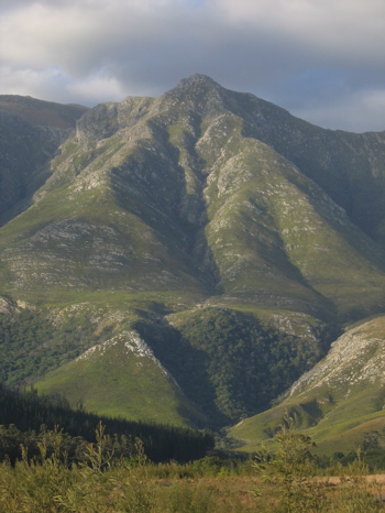 sa swellendam mts.JPG